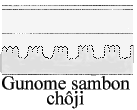 Gunome Sambon Choji