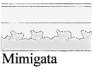 Mimigata